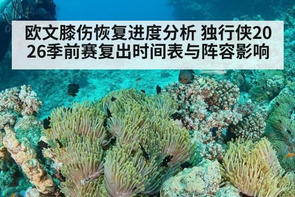 欧文膝伤恢复进度分析 独行侠2026季前赛复出时间表与阵容影响